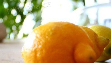 Dívky, nábor, casting (platí pro celou ČR)