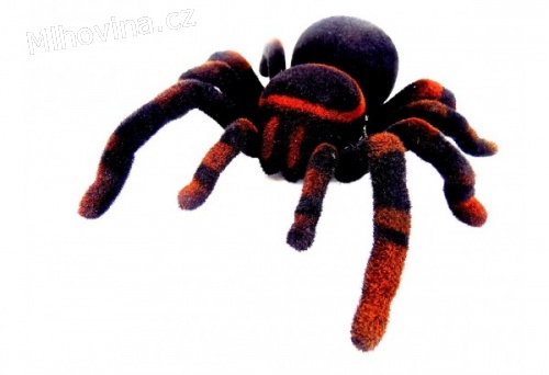 RC pavouk Tarantule Výprodej