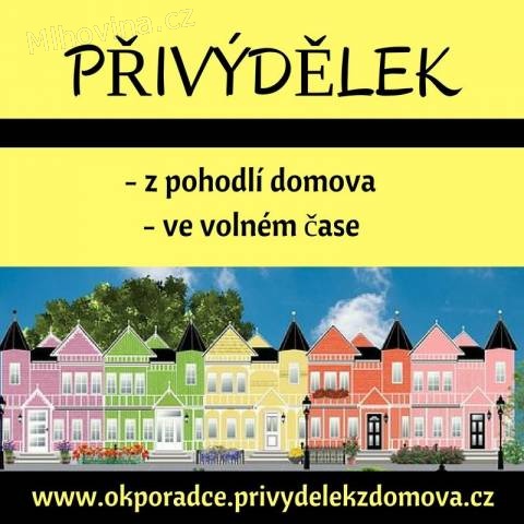 Přivýdělek z domova