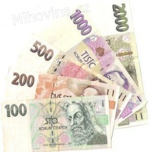 Ocitli jste se ve finančních problémech?