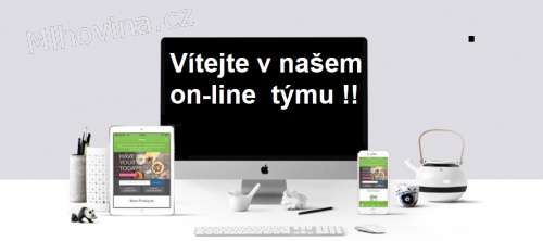 #online = z domu