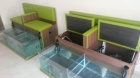 Profi boxy Dr Fish