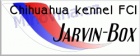 čivava-krytí