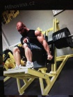 Nakládací fitness stroje typu hammer