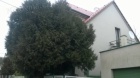 Nabízím pronájem bez realitky a kauce - Plzeň