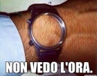 !!!! NEMÁM ČAS !!!!