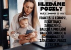 Přivýdělek