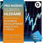 Hledáme Business Development Executive 