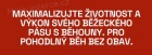 Fitness servis - nové běhouny na běžecký pás