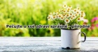 Přírodní rychlá pomoc - Edenlive
